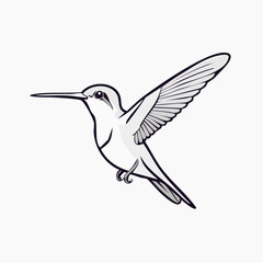 Obraz premium Serene Monochromatic Line Art Hummingbird Minimalist Vector Illustration