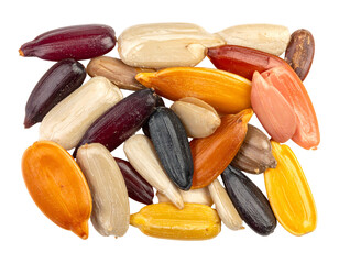 Colorful sunflower seeds in various shades