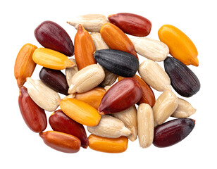 Colorful sunflower seeds, various hues