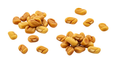Obraz premium Small piles of fenugreek seeds isolated on transparent background
