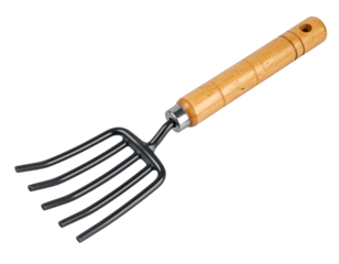 Small garden tool with wooden handle and metal tines