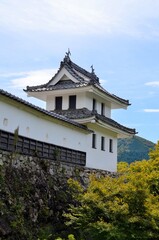 Fototapeta premium 郡上八幡城 隅櫓