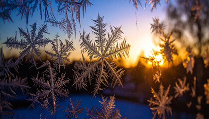 Frost Patterns on Winter Window. Nature Concept. Generated Image