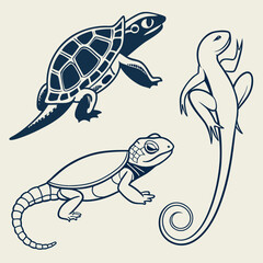 Stylized graphic illustration of a sea turtle and two lizards in navy blue outline on a cream background representing marine and terrestrial reptiles