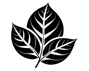 Leaf pattern silhouette illustration isolated on white background