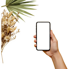 Hand holding a modern smartphone with a blank white screen next to dried floral arrangement isolated on transparent background