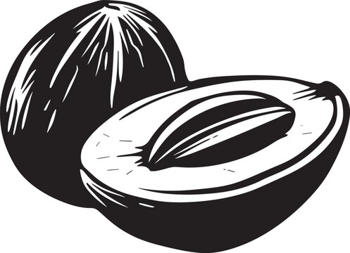 black and white avocado fruit, cut open clip art preview
