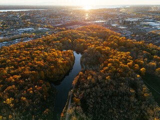 Aerial view of Montreals Angrignon park and urban forest at sunset near cityscape. g.