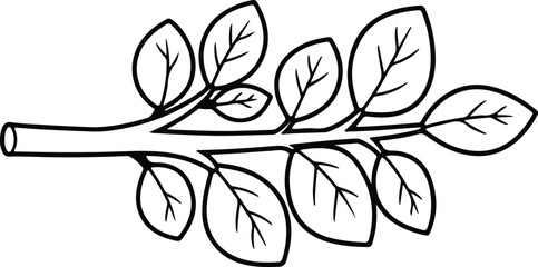 Vector Moringa oleifera branch with leaves silhouette design