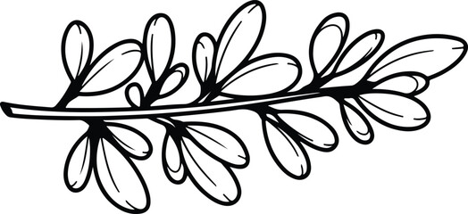 Vector olive branch botanical illustration for decorative silhouette design