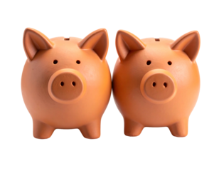 Two terracotta piggy banks facing forward