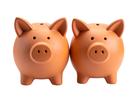 Two terracotta piggy banks facing forward