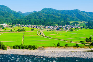信濃川の展望地　夏