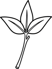 Vector simple leaf branch botanical plant element silhouette design