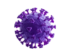 Purple virus, 3D illustration, round, spiky