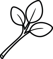 Vector Spinach seedling with three leaves single line silhouette design