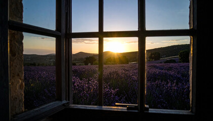 Fototapeta premium Lavender Field Sunset Provence . Nature Concept. Generated Image