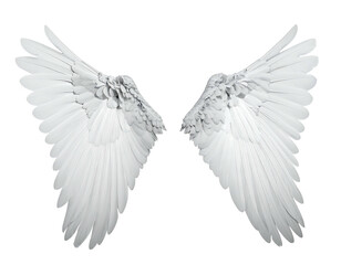 Pair of detailed, white angel wings