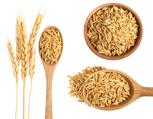 Whole oats in wooden spoons and wheat sprigs