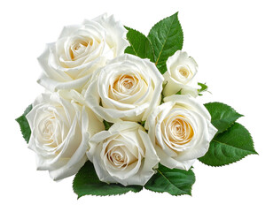 Close-up of a bouquet of five pristine white roses with lush green leaves