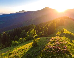 Sunrise over a mountain meadow