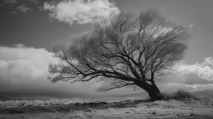 Obraz premium Lonely tree standing against a dramatic sky with swirling clouds in a black and white landscape, displaying a haunting yet beautiful natural scene of solitude and tranquility.