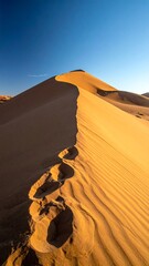 Desert dune, sunlit slope