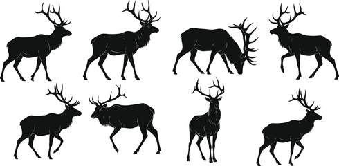 Elk silhouettes, antlered poses, walking stance, grazing motion, wildlife anatomy, vector animal set, black design, nature illustration
