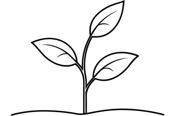 vector illustration of a plant