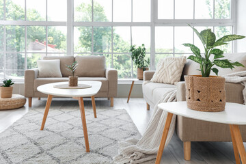 Interior of living room with plants in wicker baskets, sofas and tables
