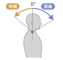 頸部、首の可動域　ROMイラスト
