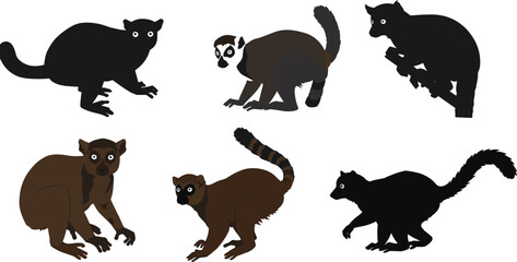 Lemur illustrations, silhouette and color, ring-tailed detail, expressive eyes, varied pose, cartoon primate, vector art, animal design, character set