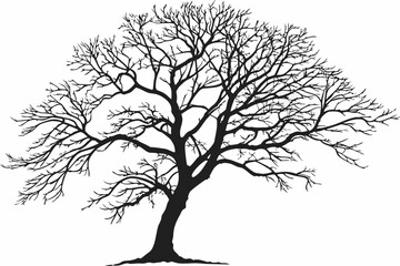 Obraz premium black and white leafless tree
