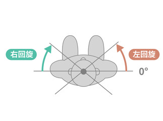 胸腰部、体幹の可動域　ROMイラスト