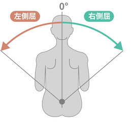 胸腰部、体幹の可動域　ROMイラスト