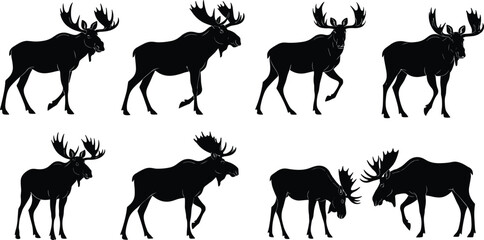 Moose silhouettes, antlered poses, wildlife interaction, standing stance, walking motion, combat behavior, vector animal set, black design