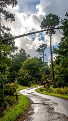 A winding, wet road through a storm-damaged forest