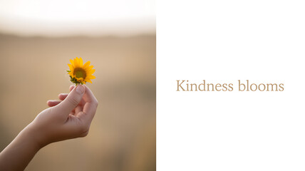 A hand holding a small sunflower against a blurred natural background with the text 'Kindness blooms'