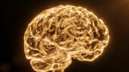 Abstract Glowing Transparent Brain Model in Motion with Particles, Concept of Neuroscience - Powered by Adobe