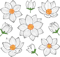 Floral flowers vector set