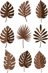 Brown tropical leaves collection isolated on white background.