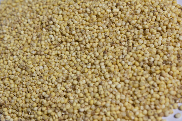 Close up of millet rice.