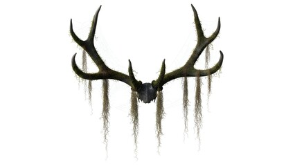 Eerie floating antlers with moss strands isolated on a clear white background
