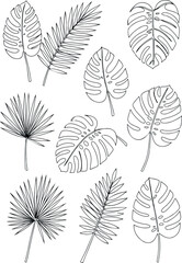 Detailed black and white illustration of various tropical leaves.