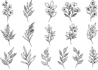 Elegant botanical illustrations of various floral and leafy branches.