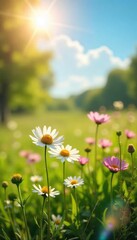 A sun-drenched meadow with wildflowers in full bloom, signifying carefree joy and inner peace A tranquil scene representing contentment and personal fulfillment , wellbeing, sky, well-being