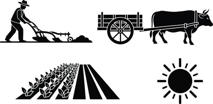 Farmer plowing field with oxen cart and growing crops under sun