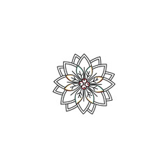 Stylized Flower Illustration with Berries and Leaves floral vector design art graphic pattern nature botanical mandala geometric simple