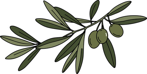 Olive branch with green olives and leaves illustration.