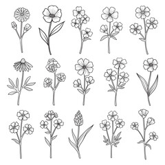 Plant hand drawn vector, set of flower branch and leaves illustration